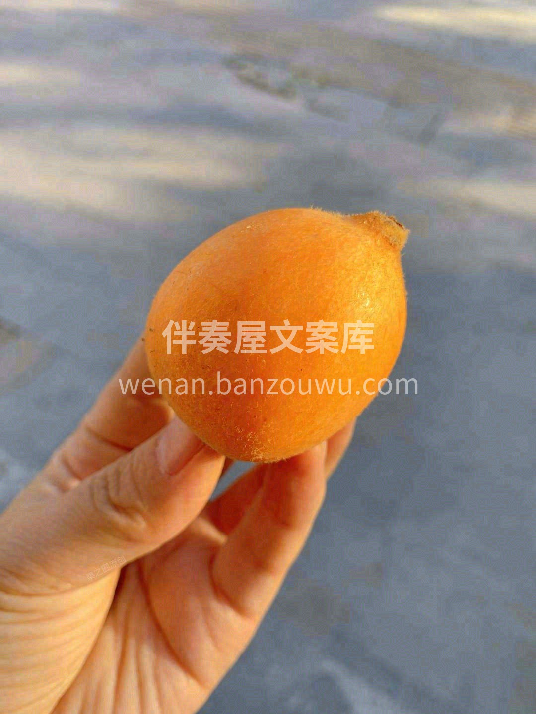 🙋小小的身体里，汁水十分足💅 在撕皮的时 配图1