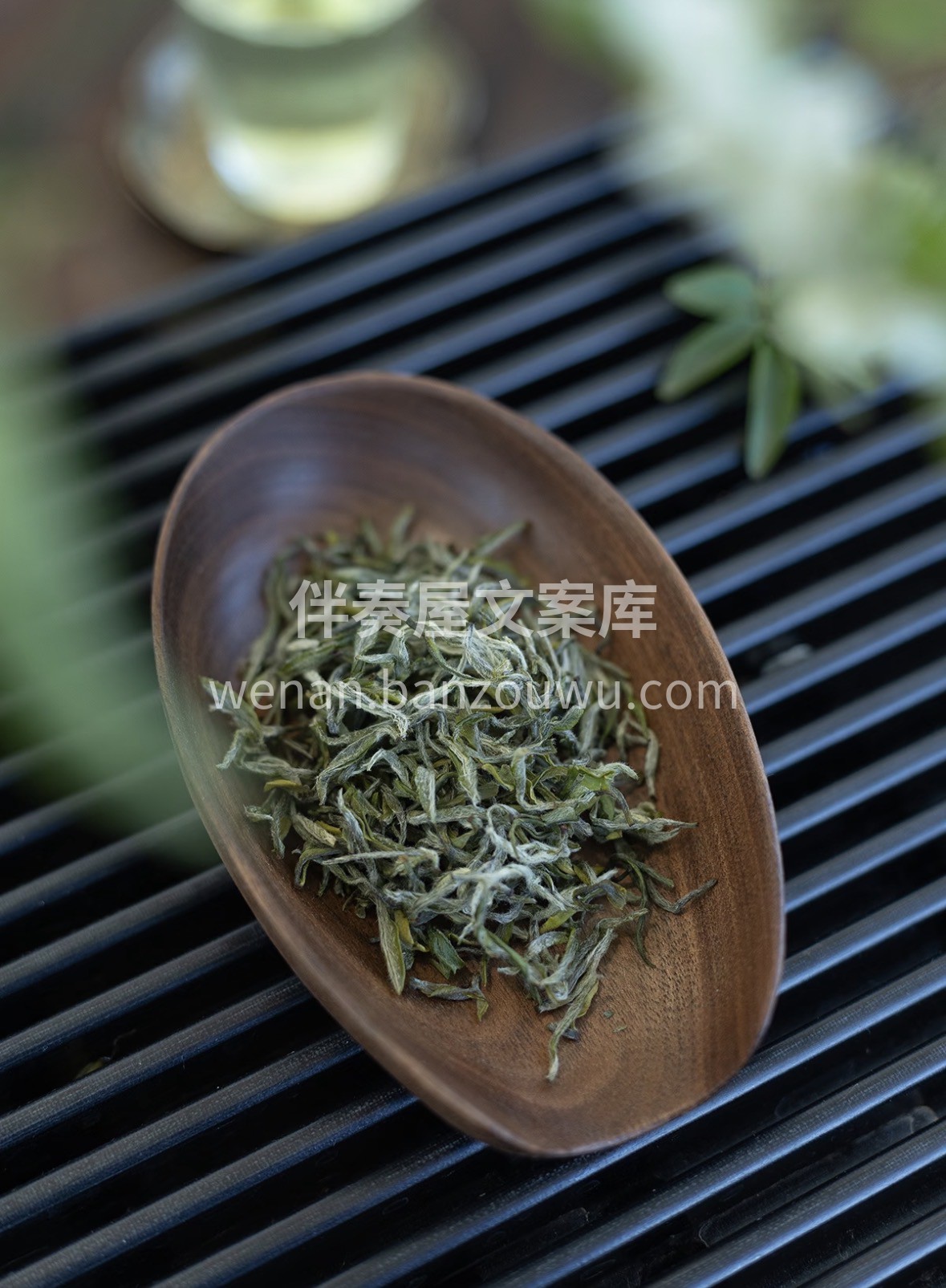 🌱 新年第一杯茶，敬过往，敬明天。红袍换 配图1