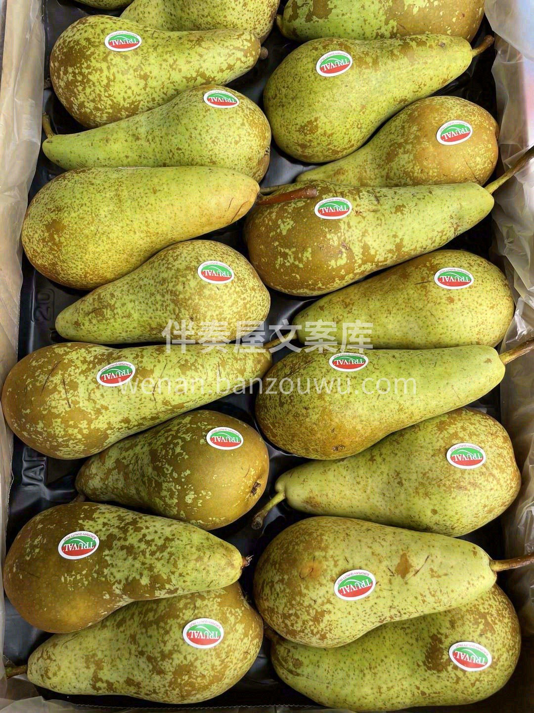 比利时啤梨🍐 香甜，柔软，多汁💦 颠覆您 配图3