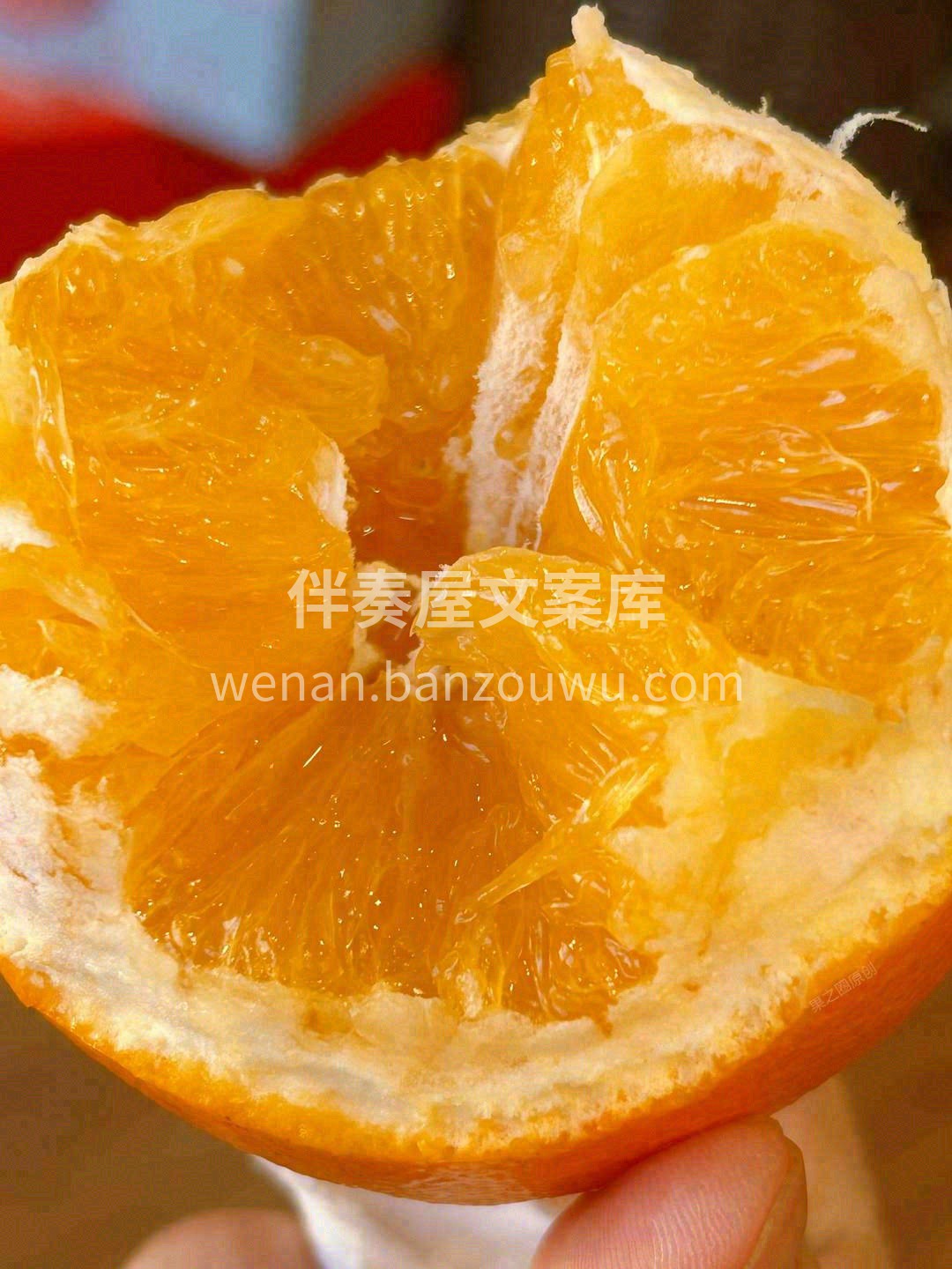 这个季节，多吃橙子补充维C🍊 水果的营养 配图2
