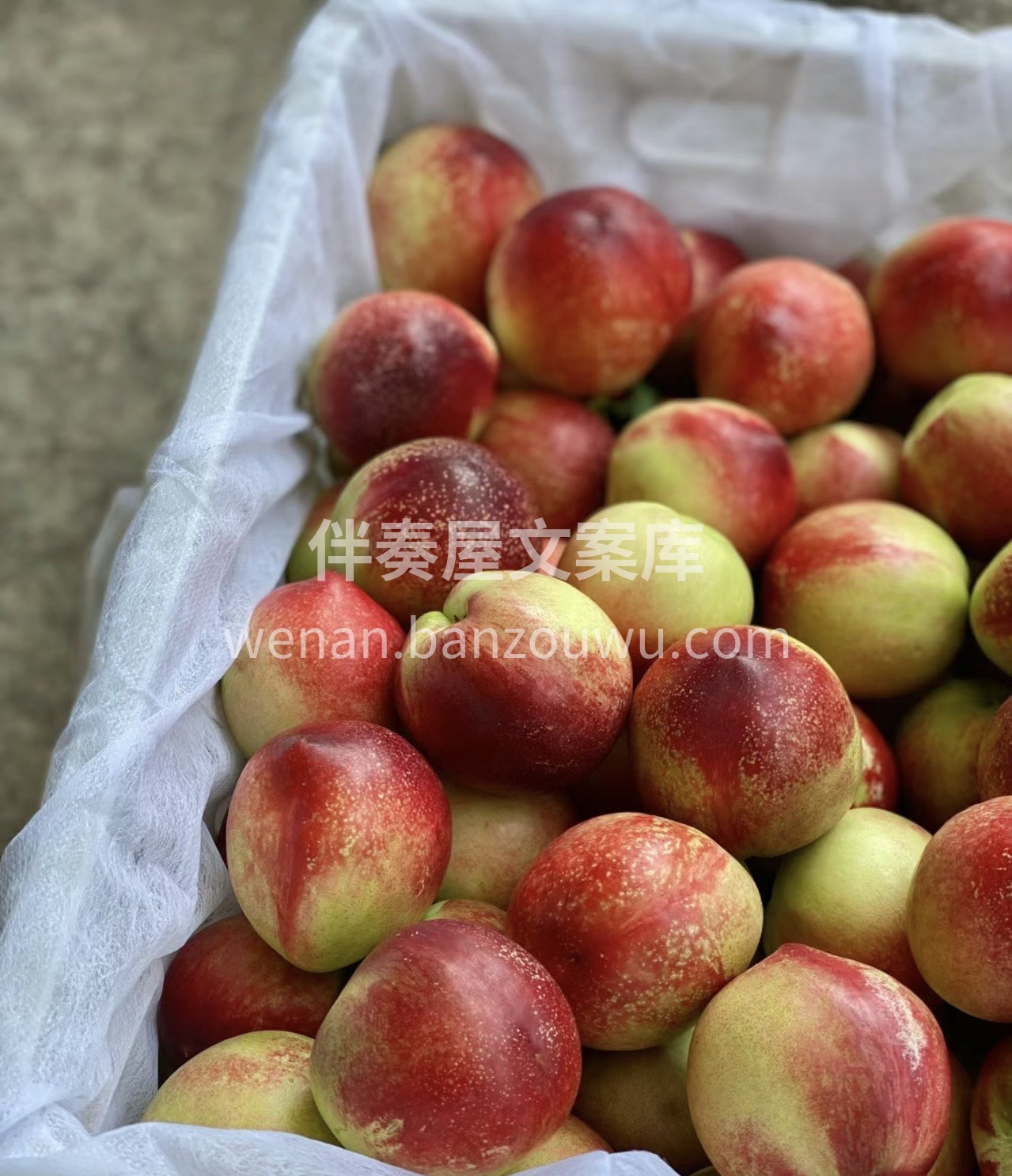 夏日桃桃🍑 七分桃，三分枣，是冬枣和油桃 配图3