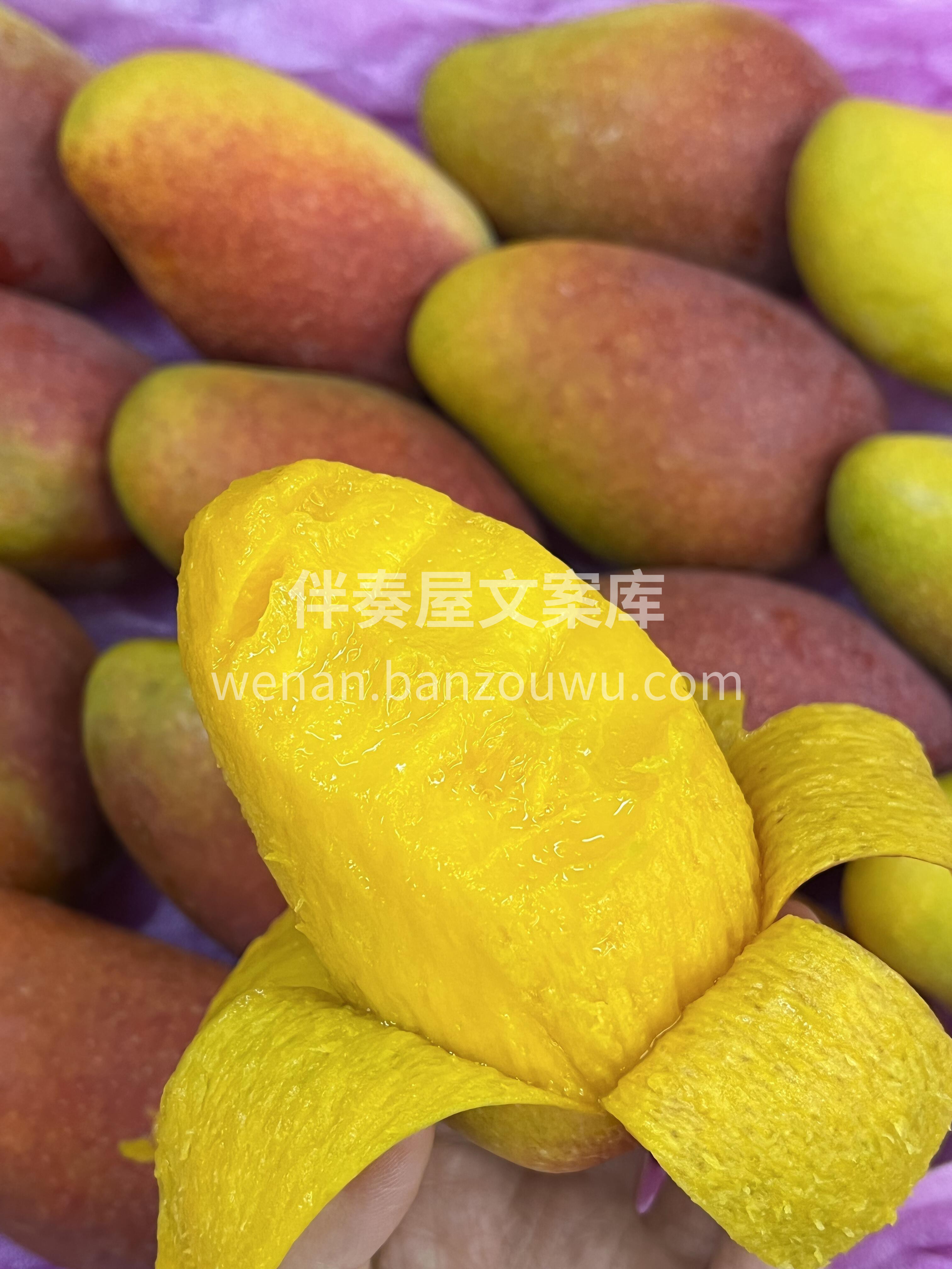 🥭 贵妃芒！ 🌈 海南树上熟，彩虹表皮  配图2