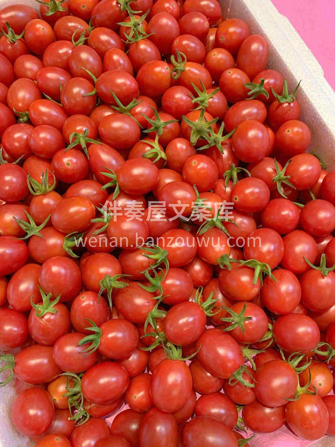 🍅果实质嫩爽口，顺喉而下，好似每一个细胞 配图3