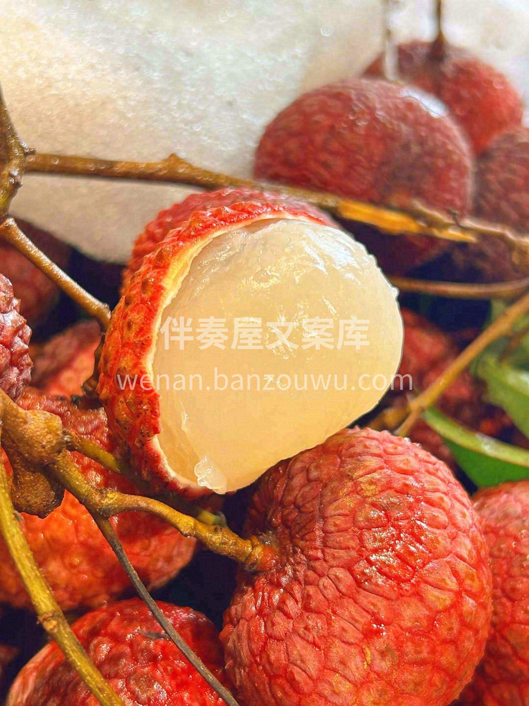 那凝脂如玉的身姿🤍咬一口是肥厚甘美、酸甜 配图1