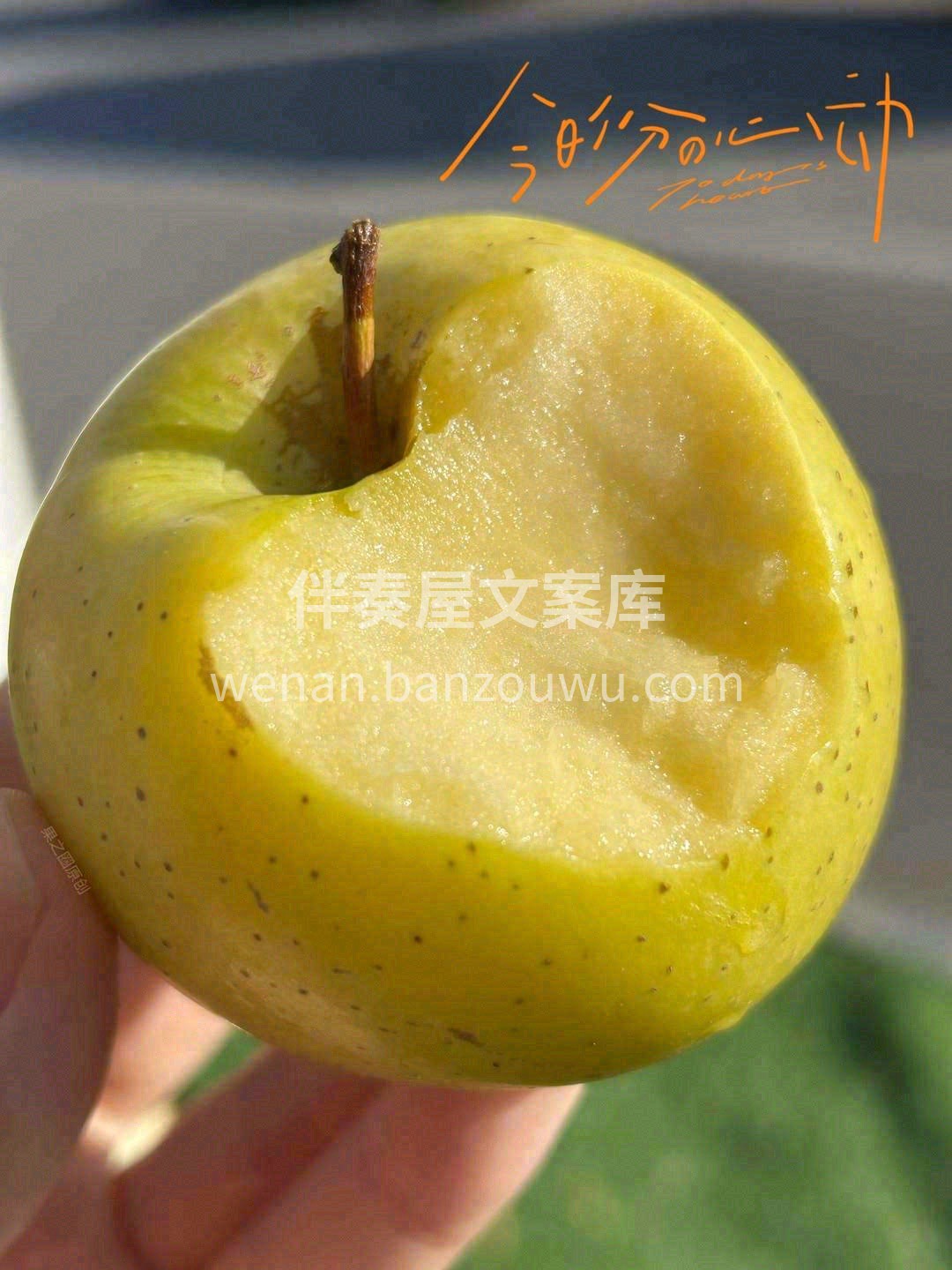 “减肥果”、“青春果”和“智慧果” 三果 配图2