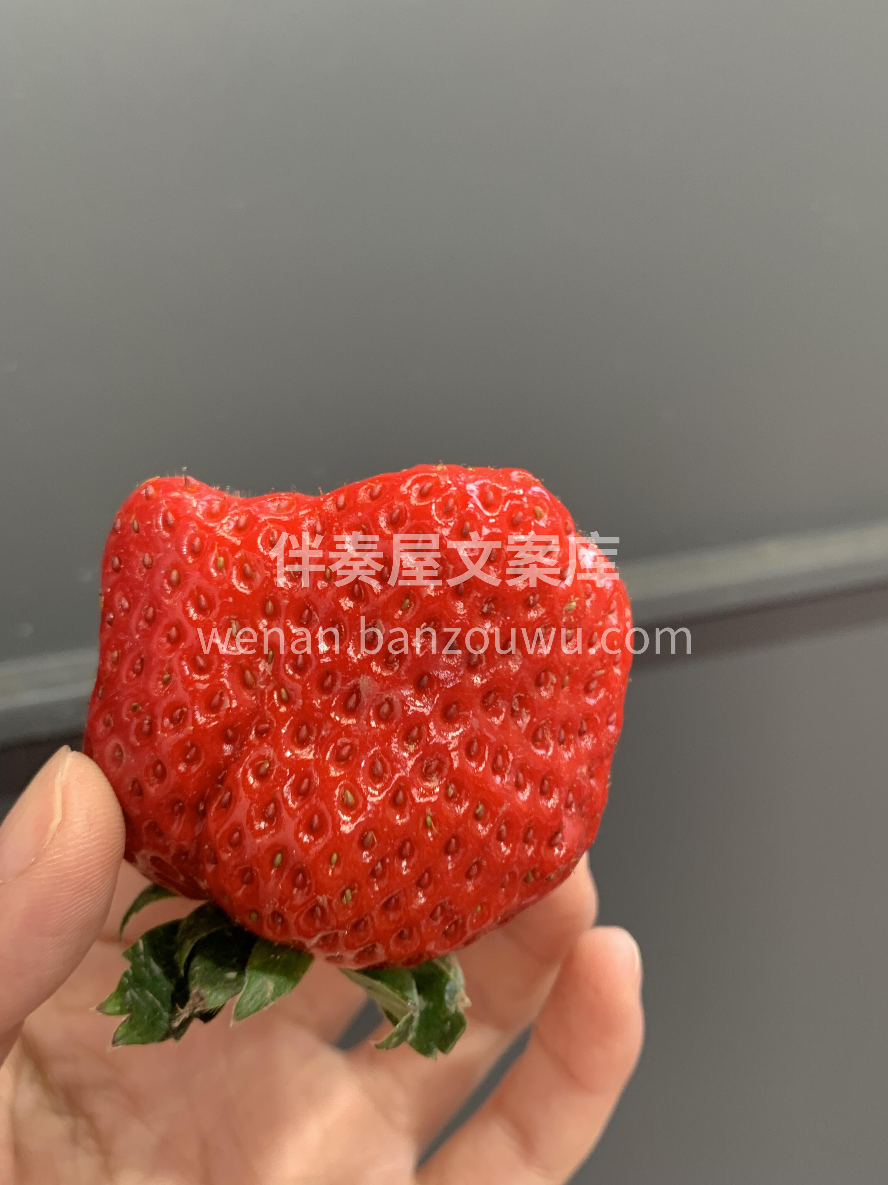 露天草莓超鲜甜🍓 个头不大，甜度高，草莓 配图1