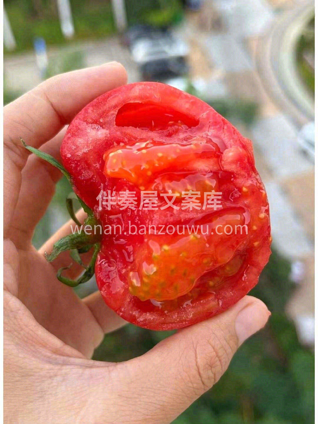 😋细细品味，清香的汁水混着厚实沙粒感的果 配图2
