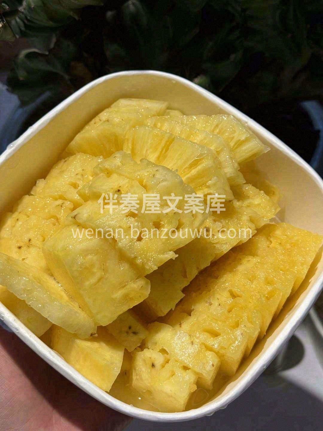 金灿灿的果肉💛，甜到“芯”，好似三亚的阳 配图2