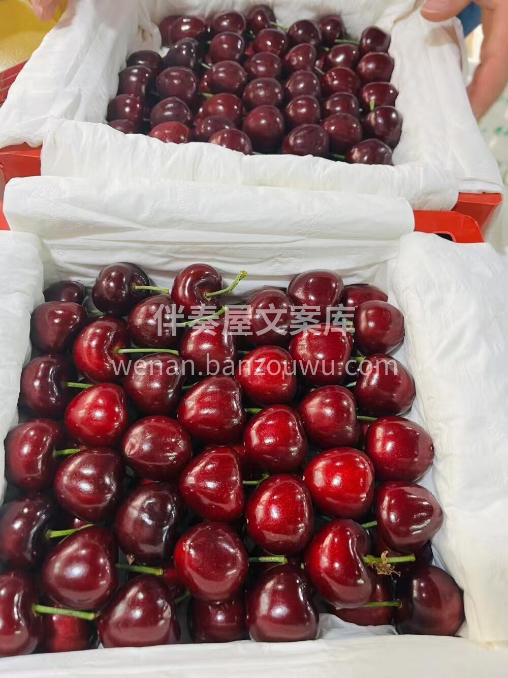 这个樱桃谁懂啊！！！🍒有的路，你必须自己 配图3