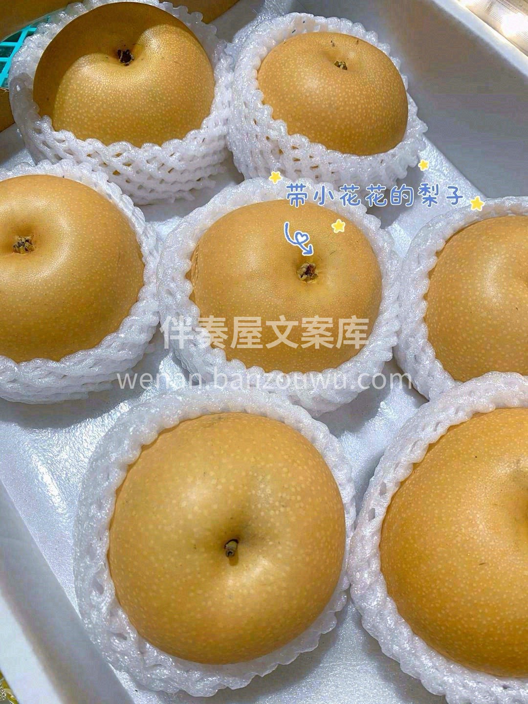 🍂秋月梨如此让人念念不忘😍 是因为它在清 配图2