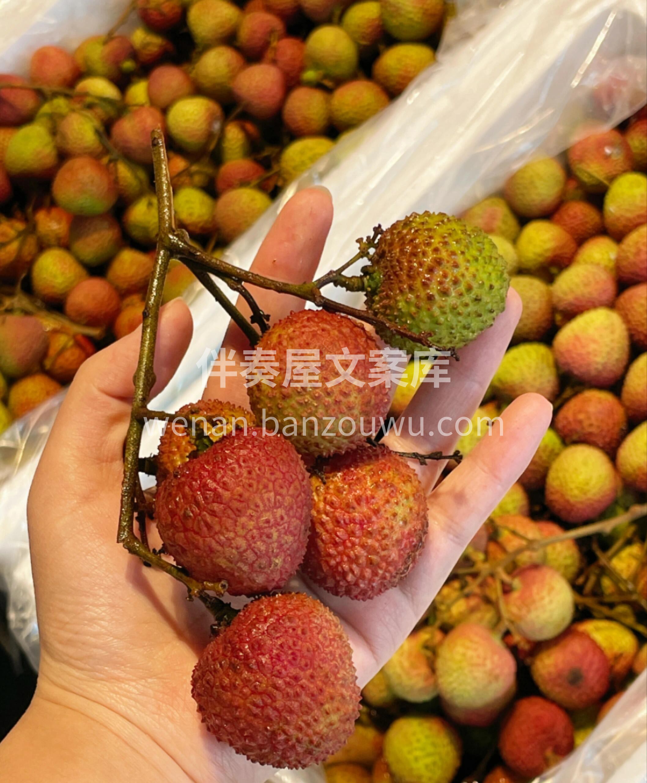 🍒妃子笑荔枝登场啦！ 果皮薄、肉厚核小， 配图2