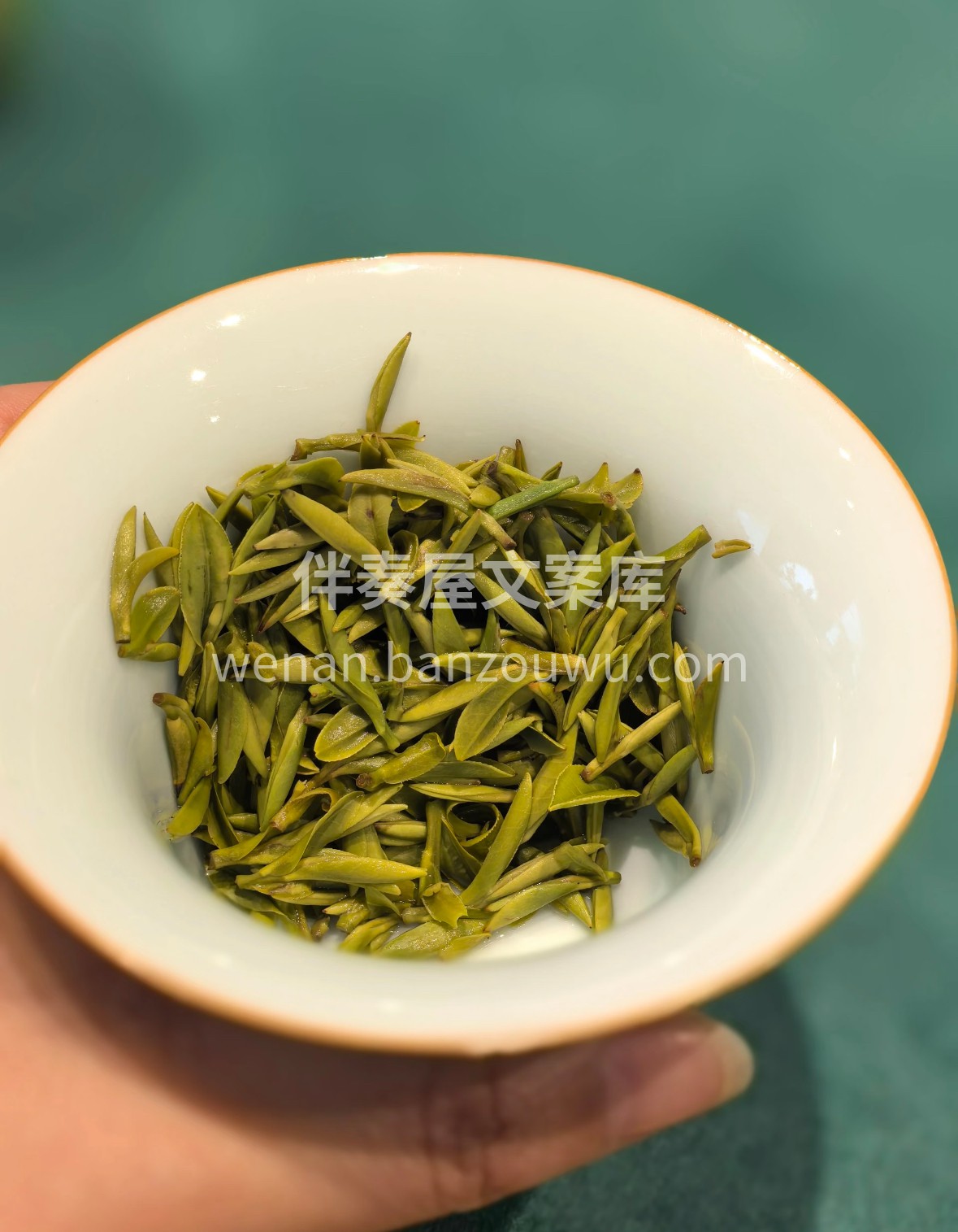 等了一整年的黄山毛峰终于到店！一芽一叶初 配图2