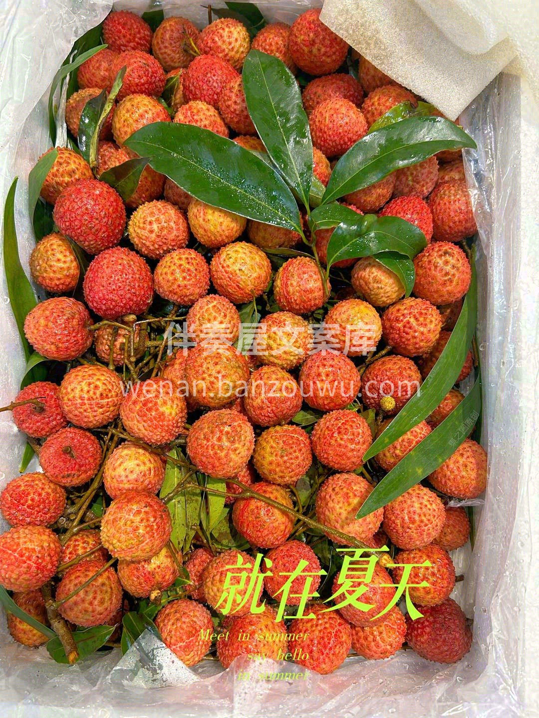 皎莹如白玉，清甜带蜜香🍯 一口荔枝，令人 配图3
