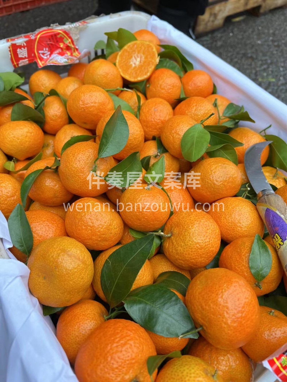 ☘️【沙糖橘 大果】🍊入口即化，果肉爽嫩 配图3