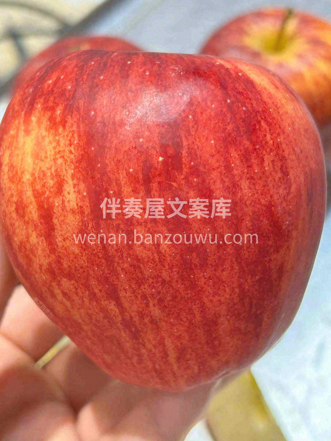 红彤彤的苹果🍎🍎 小巧可爱，颜色亮丽 一 配图2