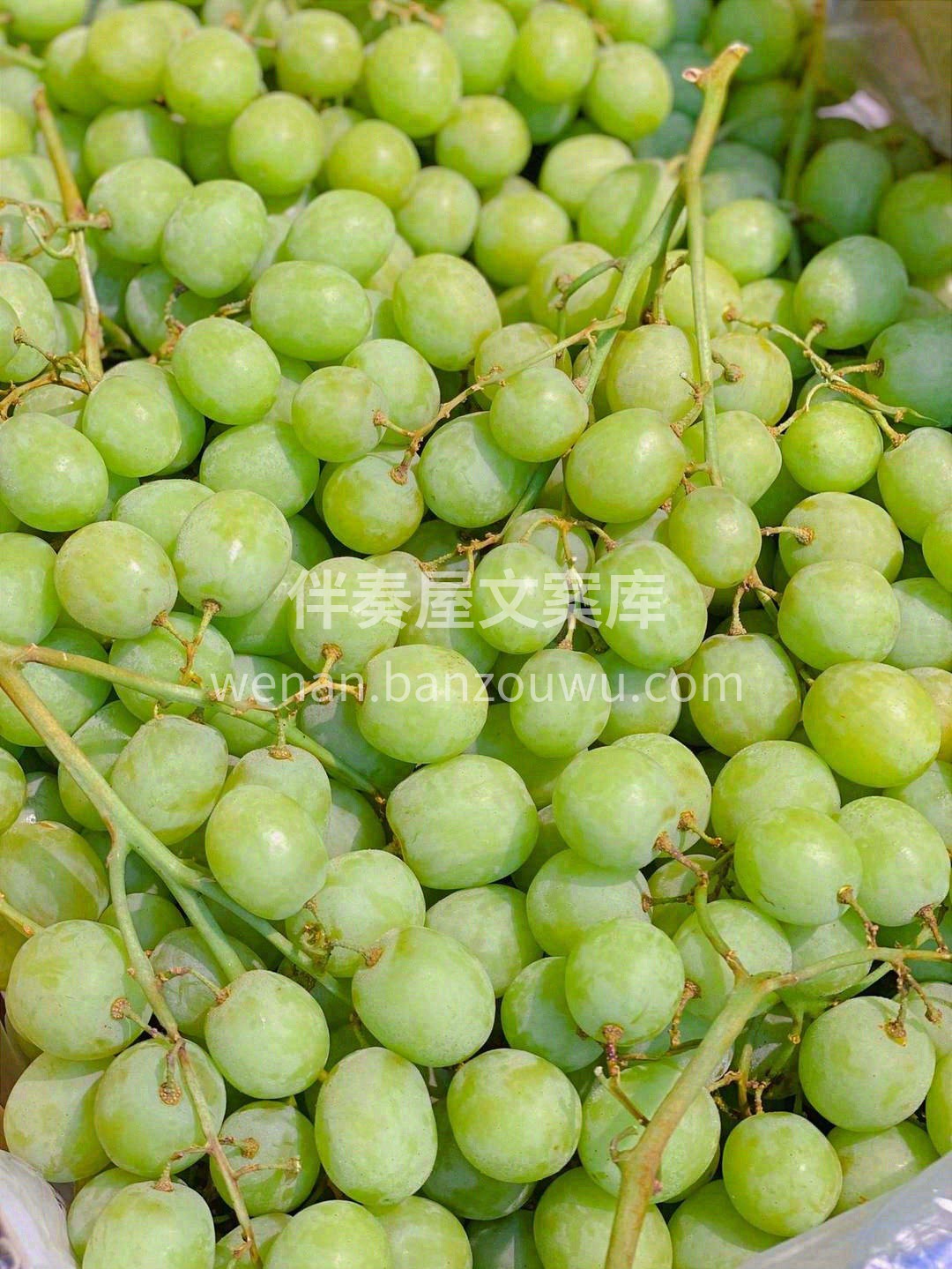入口一咬有表皮包裹的微弹感💥，然后“BO 配图3