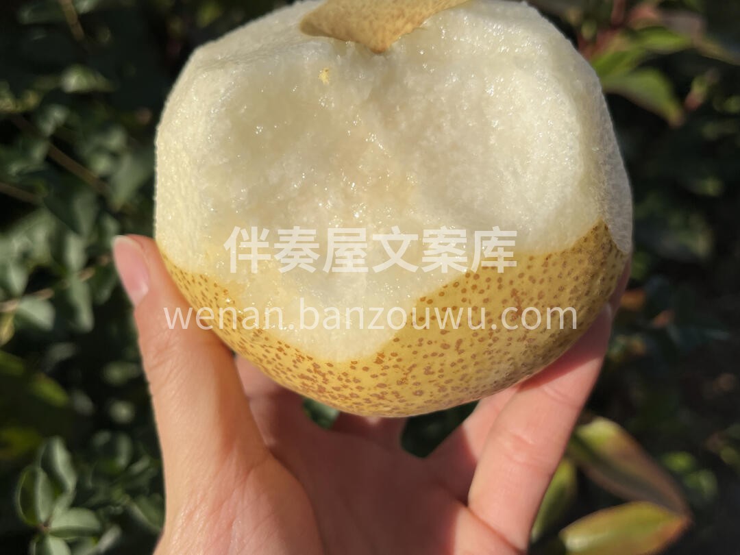 秋冬养肺❤️多吃梨👍 ☘食一颗砀山酥梨🍐 配图3
