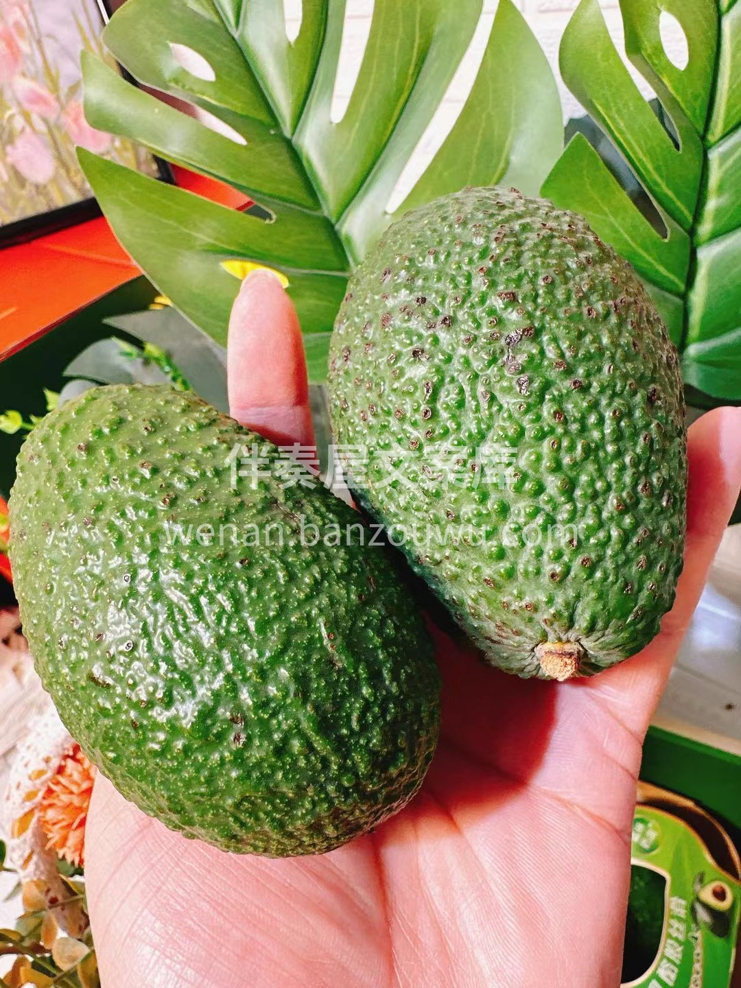 牛油果🥑到火候了✌️ 初夏里的绿色好心情 配图3