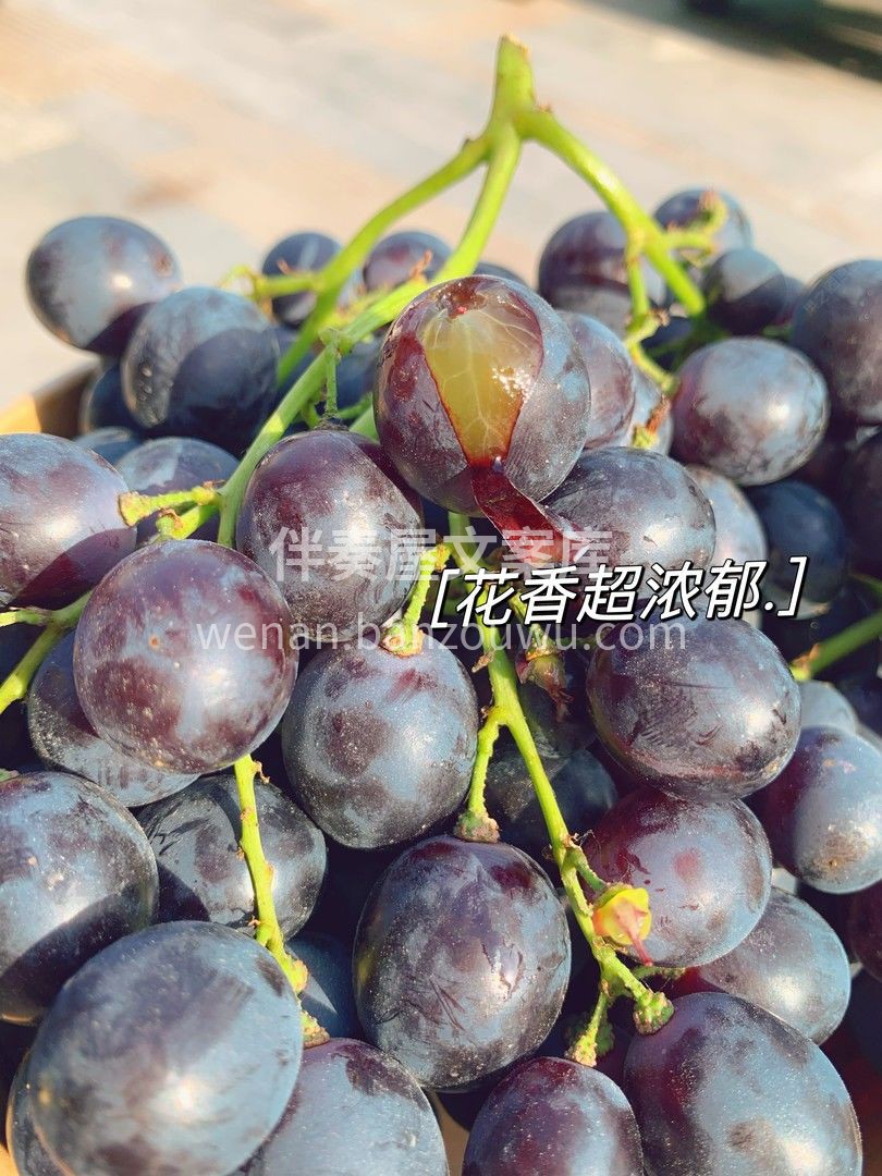 小时候最爱💛的是葡萄是玫瑰香 长大后最爱 配图1