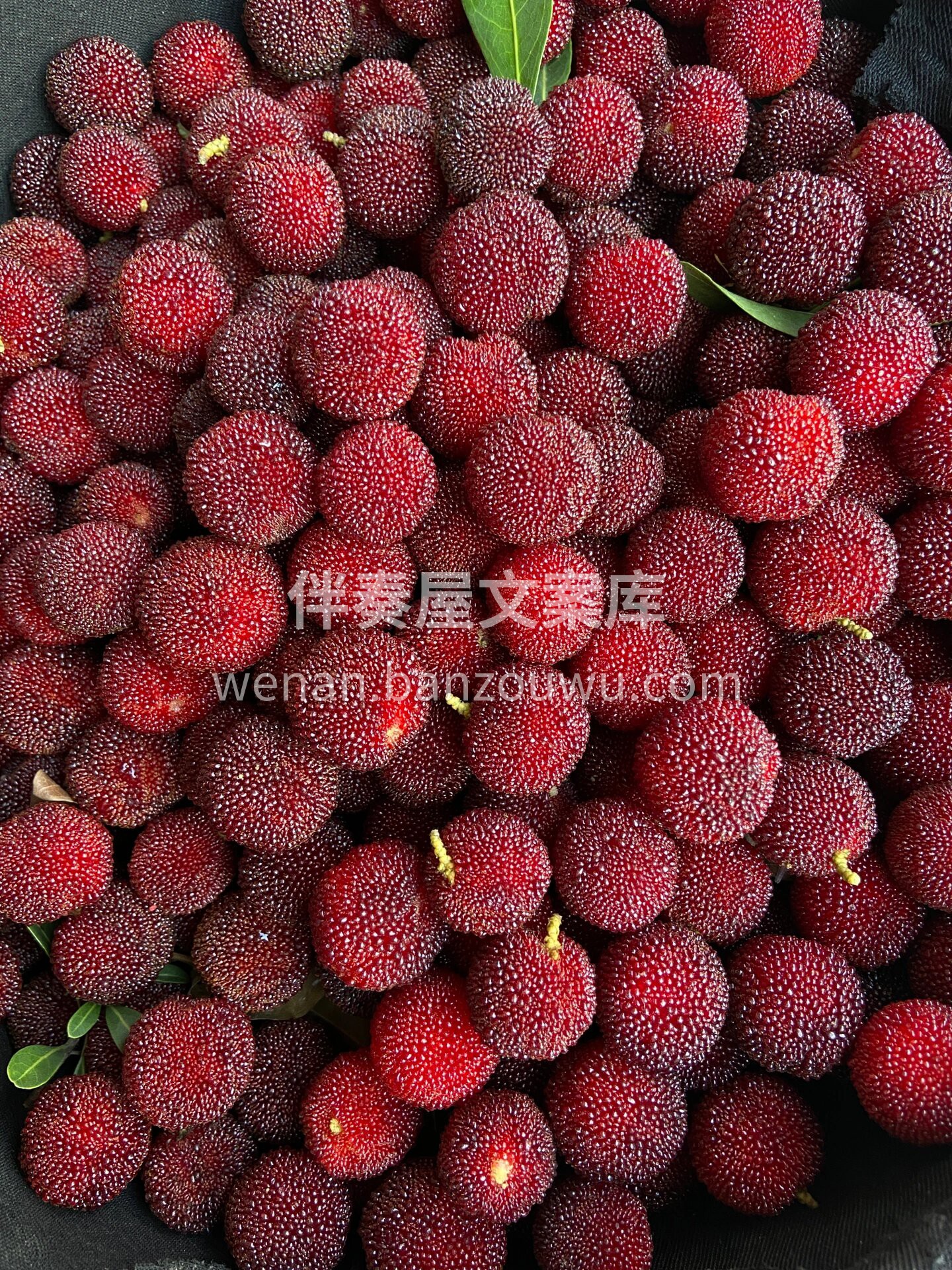 杨梅到货啦🔥 鲜灵浓郁至极，没有什么比一 配图2