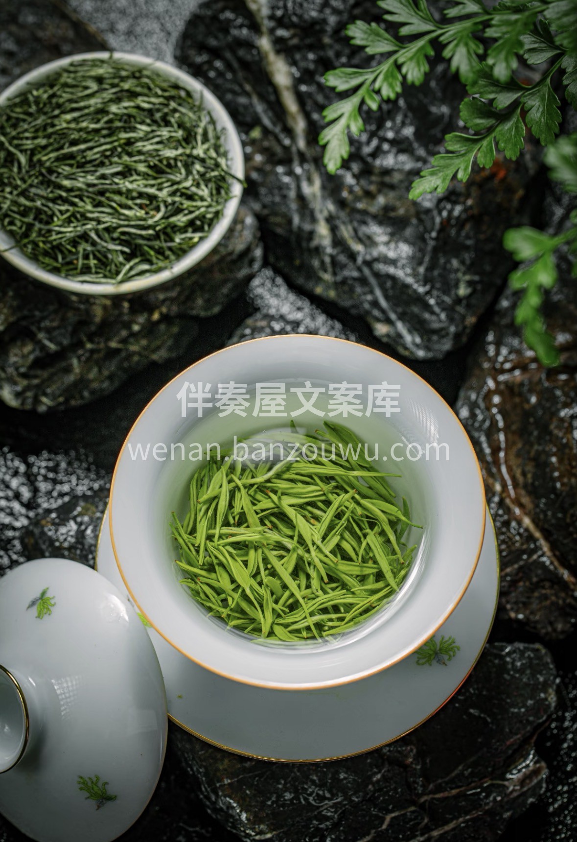 新春雅集，龙井相邀。一盏鲜醇敬岁月，以茶 配图2