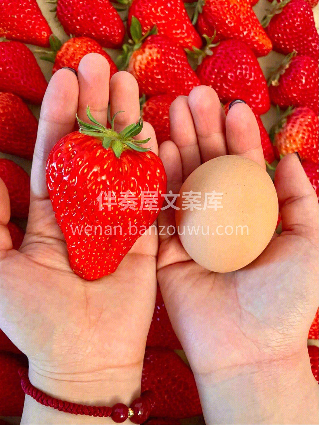 咬一口草莓尖🍓那份甜真真儿沁到人的心里去 配图2