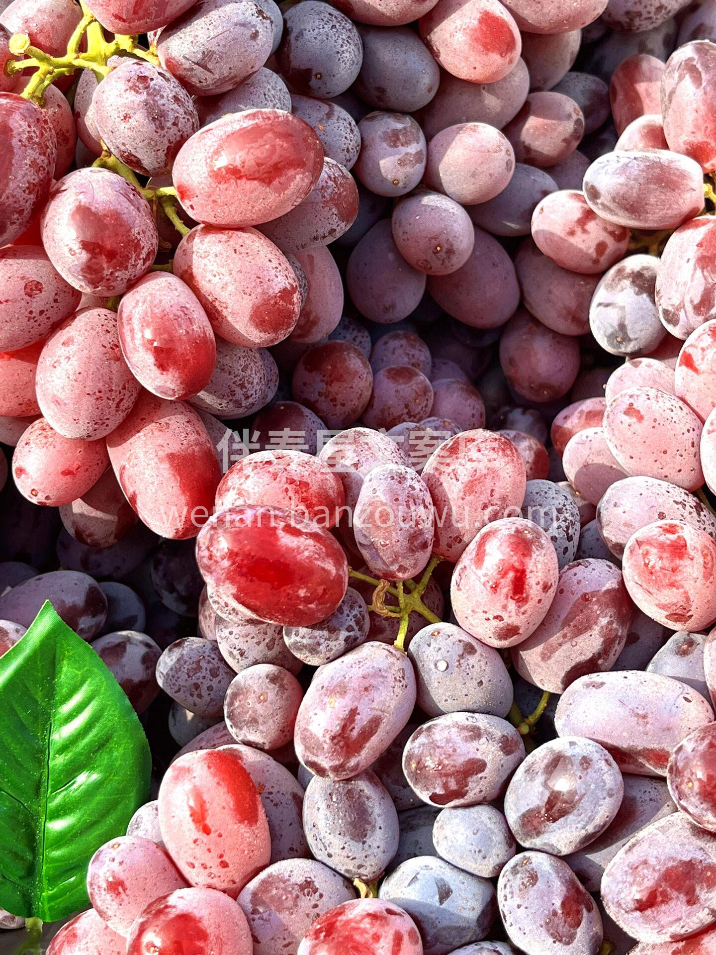 ☘无籽红提🍇上新～ 清甜无籽，果肉脆嫩到 配图3