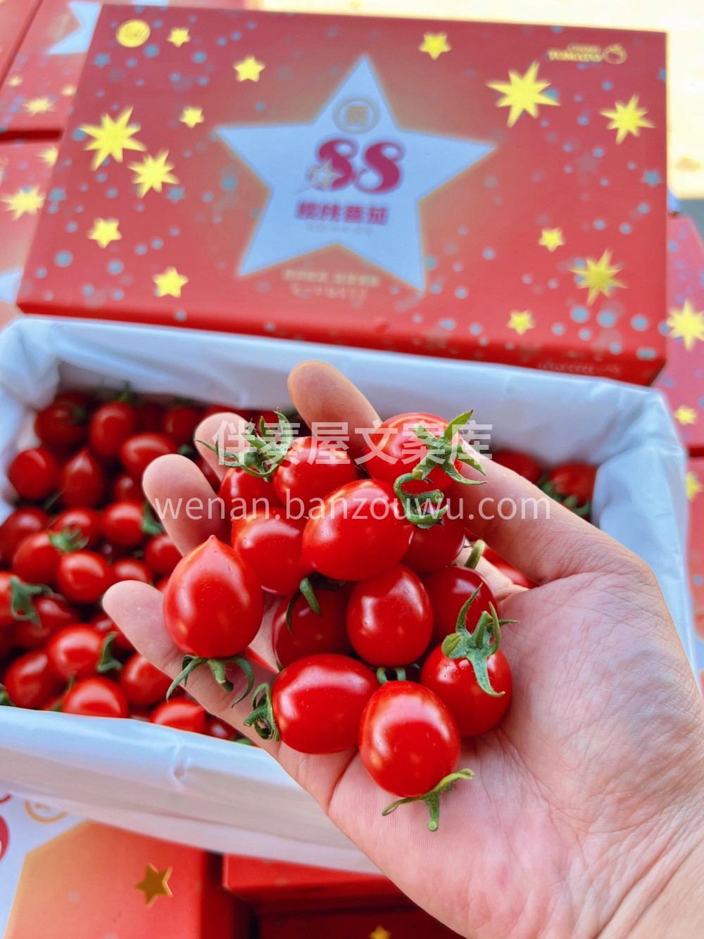🍃🍃好吃的樱桃小番茄来了🍅这款真的超好吃 配图1