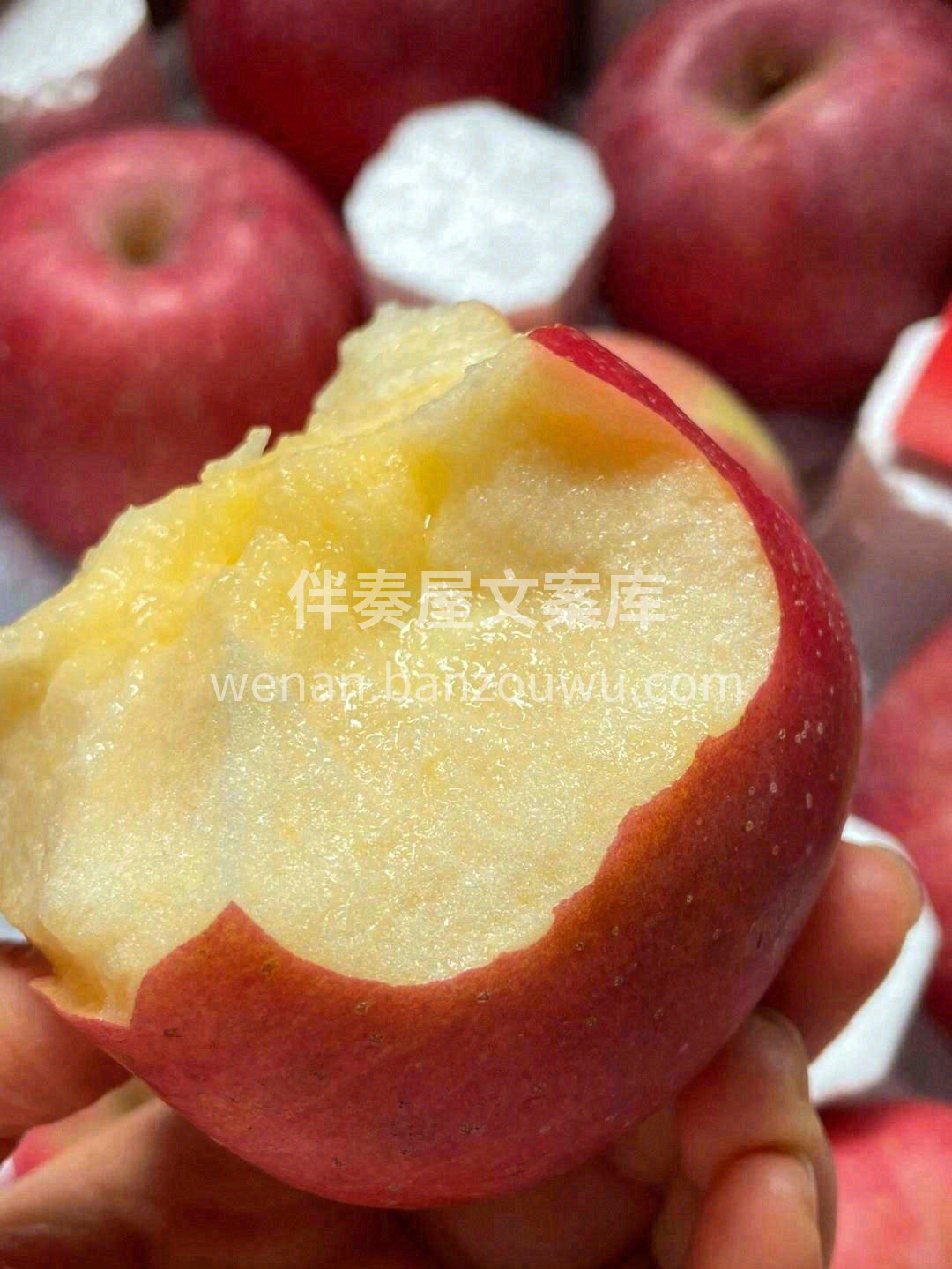 这是一颗离太阳🔆很近，离城市很远的苹果🍎 配图3
