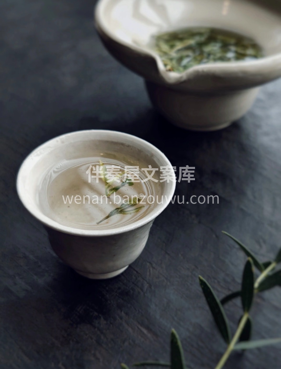 来自蒙顶山核心产区的蒙顶甘露，明前嫩芽揉 配图3
