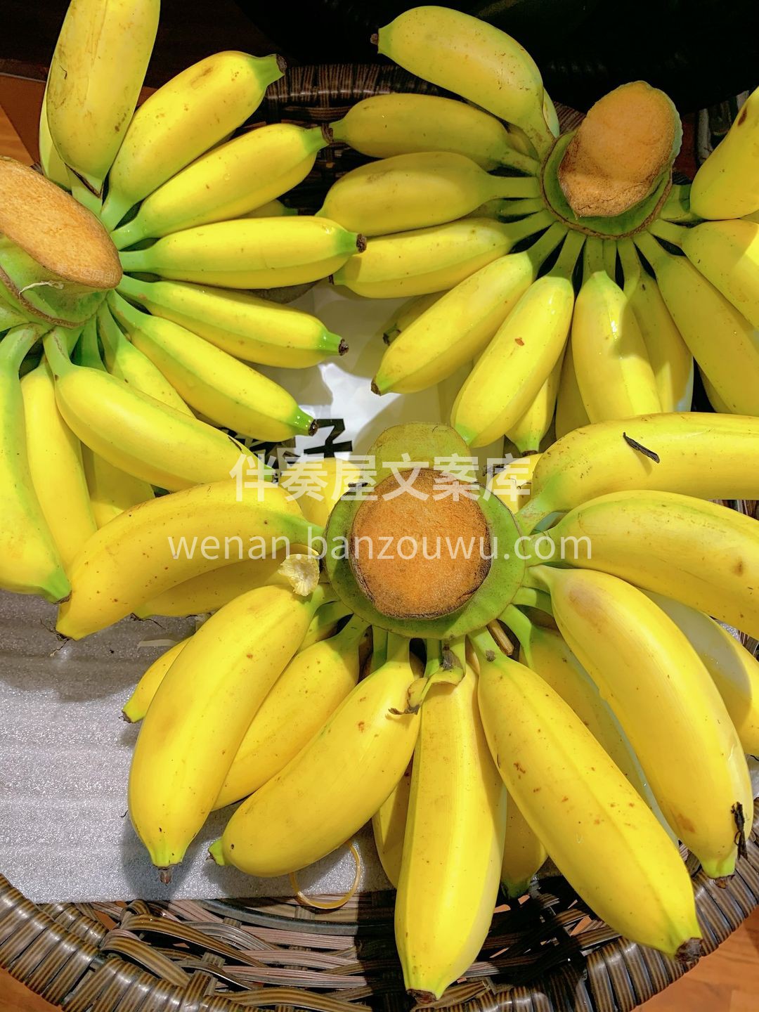 🍌“蕉”香四溢 小小的身体内蕴含着饱满的 配图1