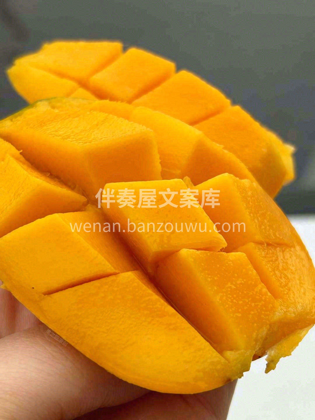 小台芒是真正印证“浓缩是精华”这句话🐣  配图1