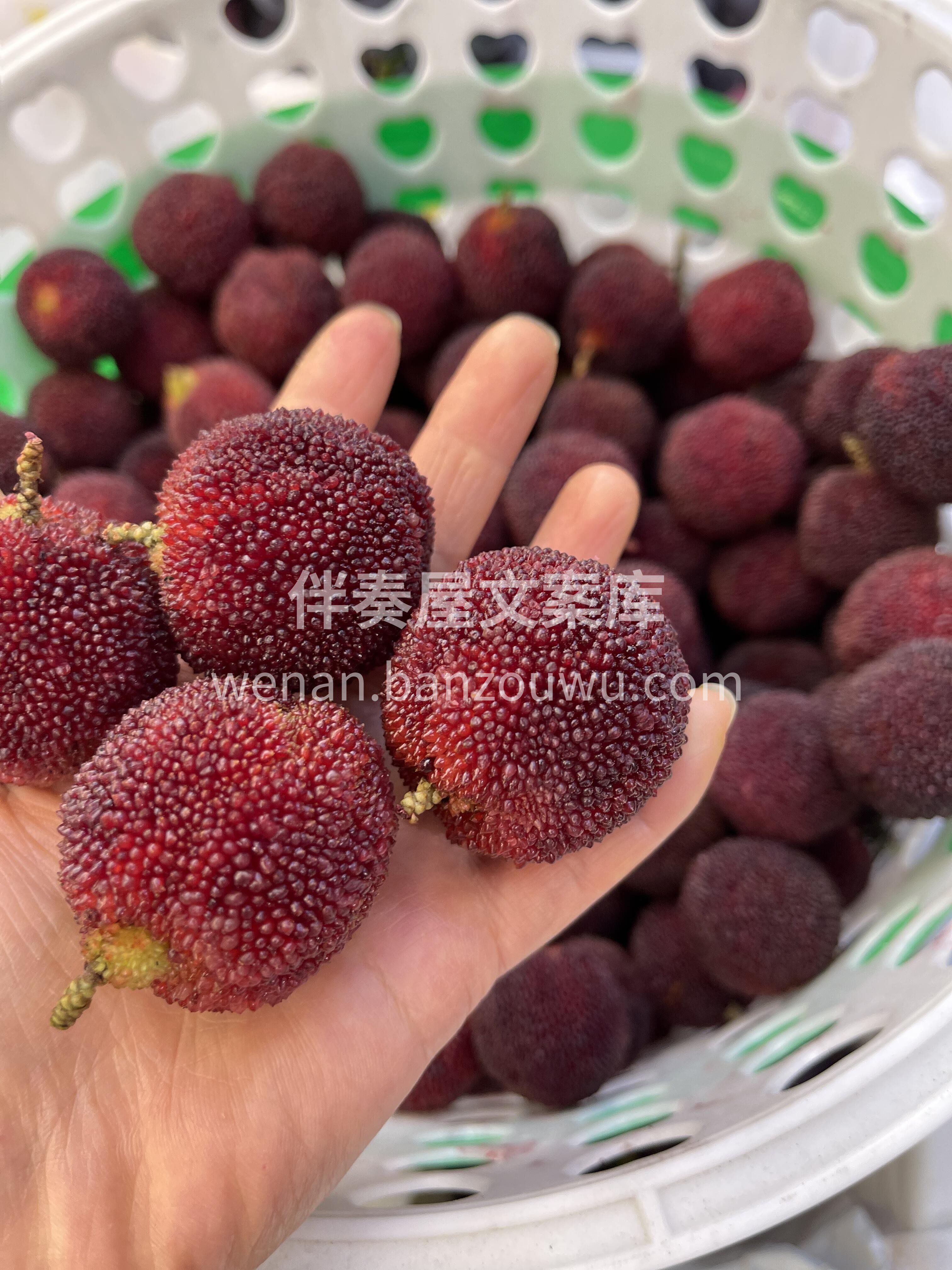 今年的第一颗杨梅来啦👏👏 水果界的瑰宝😍 配图2