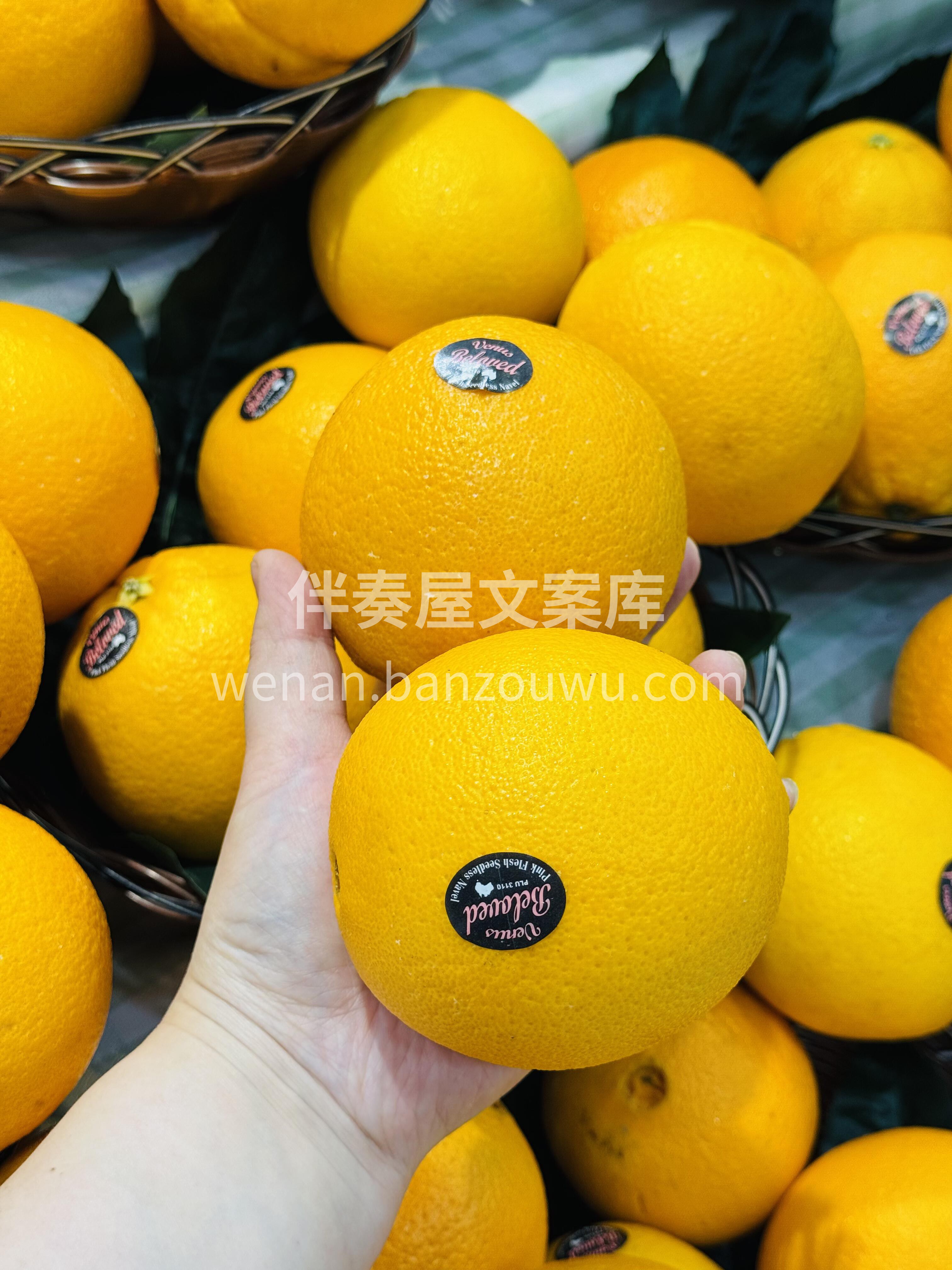 ☘生活不只有诗和远方， 还有吃出健康，补 配图2