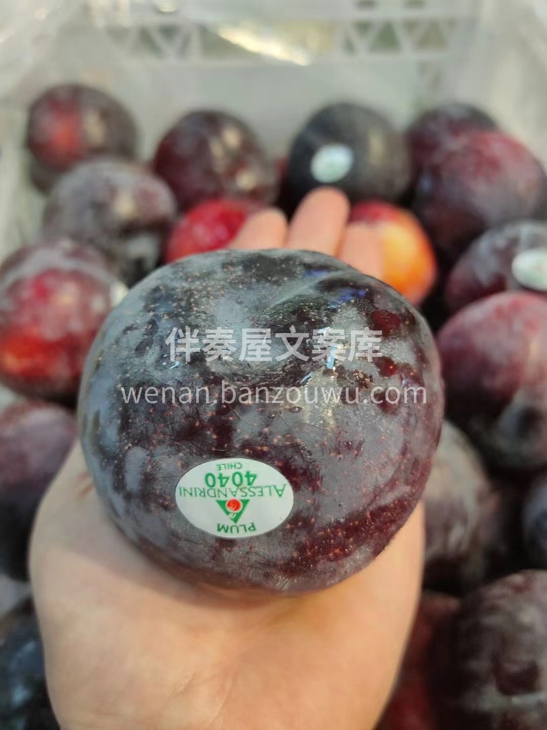 新品到货‼️ 【黑布林李子】🔥🔥 应季水 配图2
