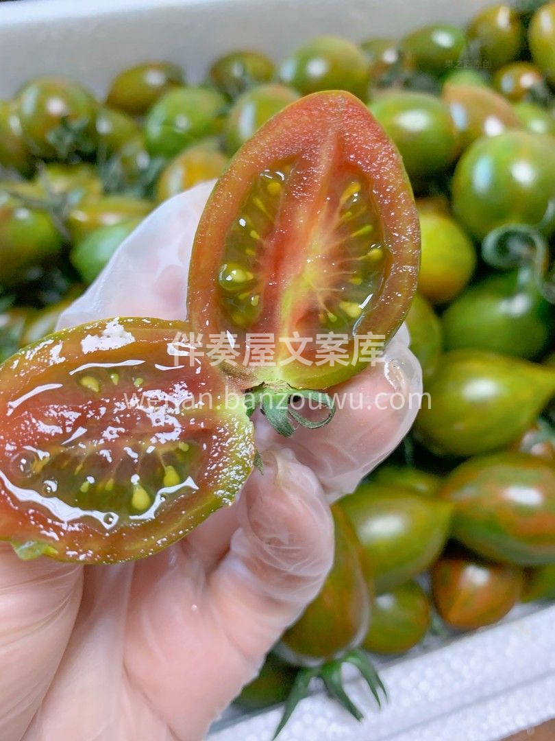 🍅迷彩小番茄🍅 酸酸甜甜恰到好处👍👍 番 配图1