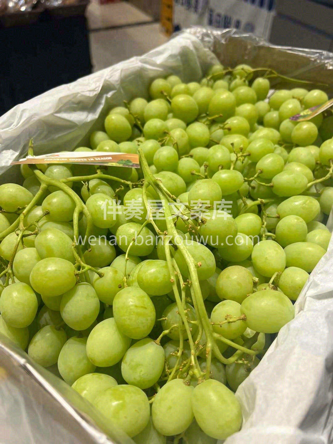 秘鲁秋天脆青提💚 酥脆香甜如蜜🌸🌸 入口 配图2