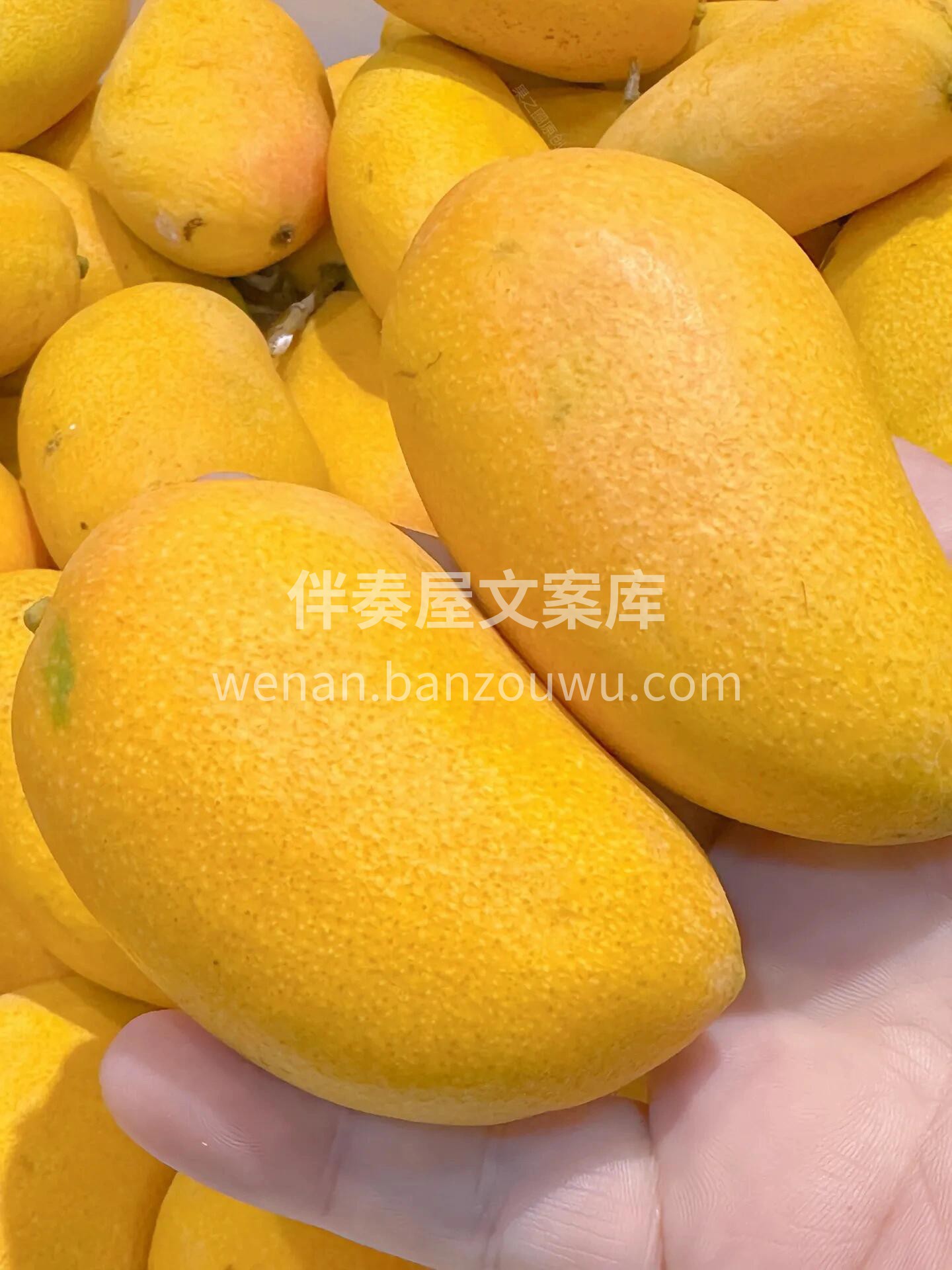 🥭台农芒果香气迷人！ 果肉滑嫩多汁，甜到 配图3