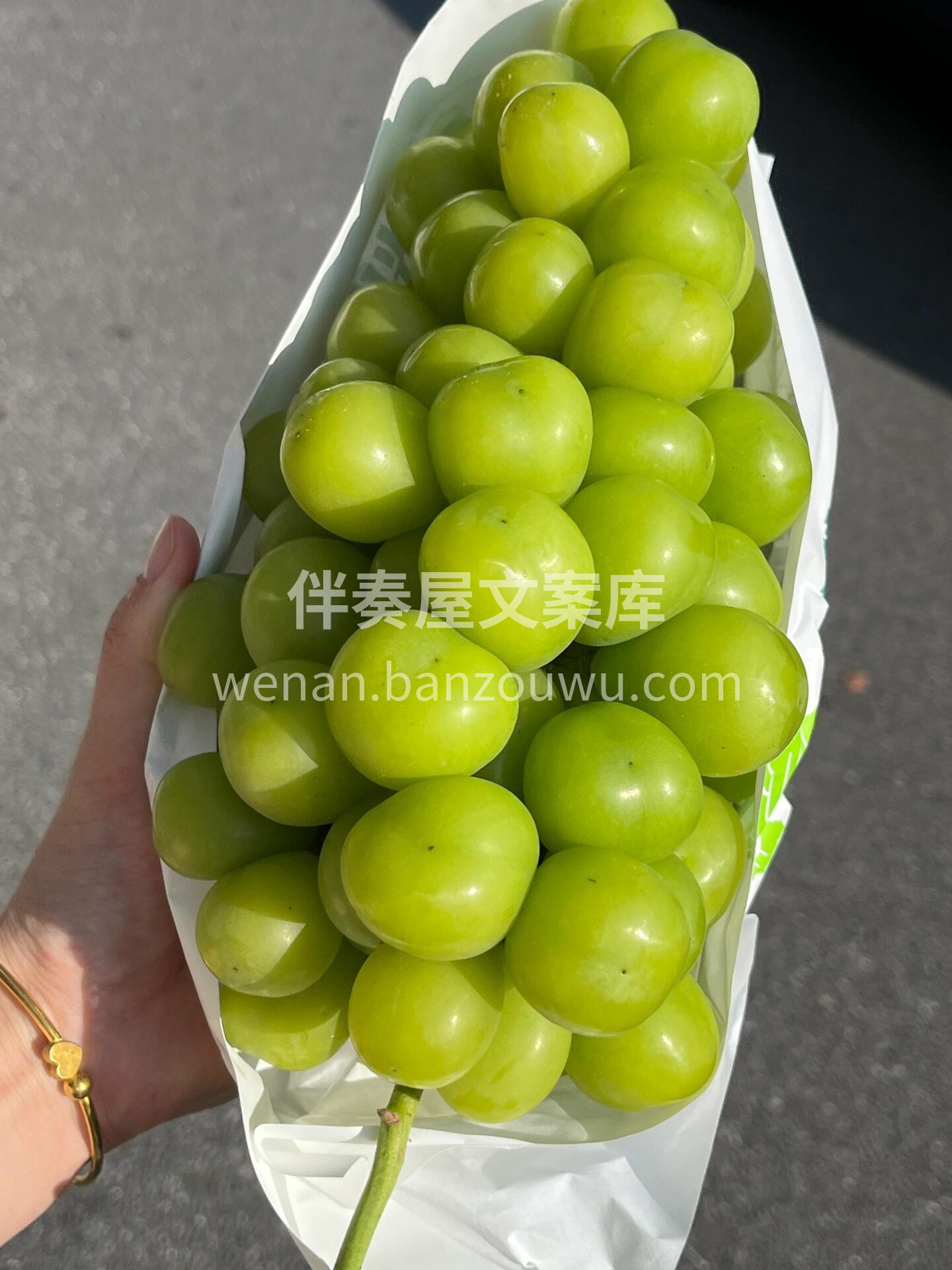 【香印晴王】 📣夏天与香印晴王的甜蜜相遇 配图2