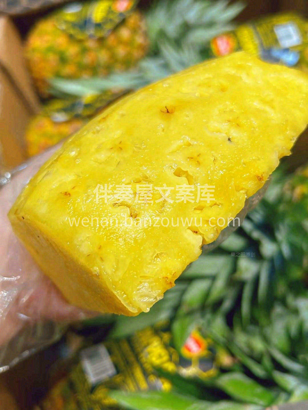 嘿凤梨！Hei Fun Nei ！喜欢你 配图2