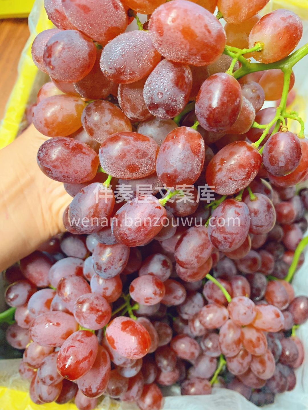 吃进嘴里脆生生的，像一粒粒紧实的小甜弹💣 配图1