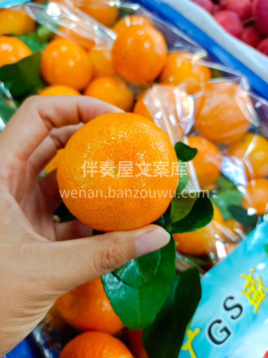 🍊金秋砂糖橘 吃沙糖桔‎的‎季节来啦，‎ 配图3