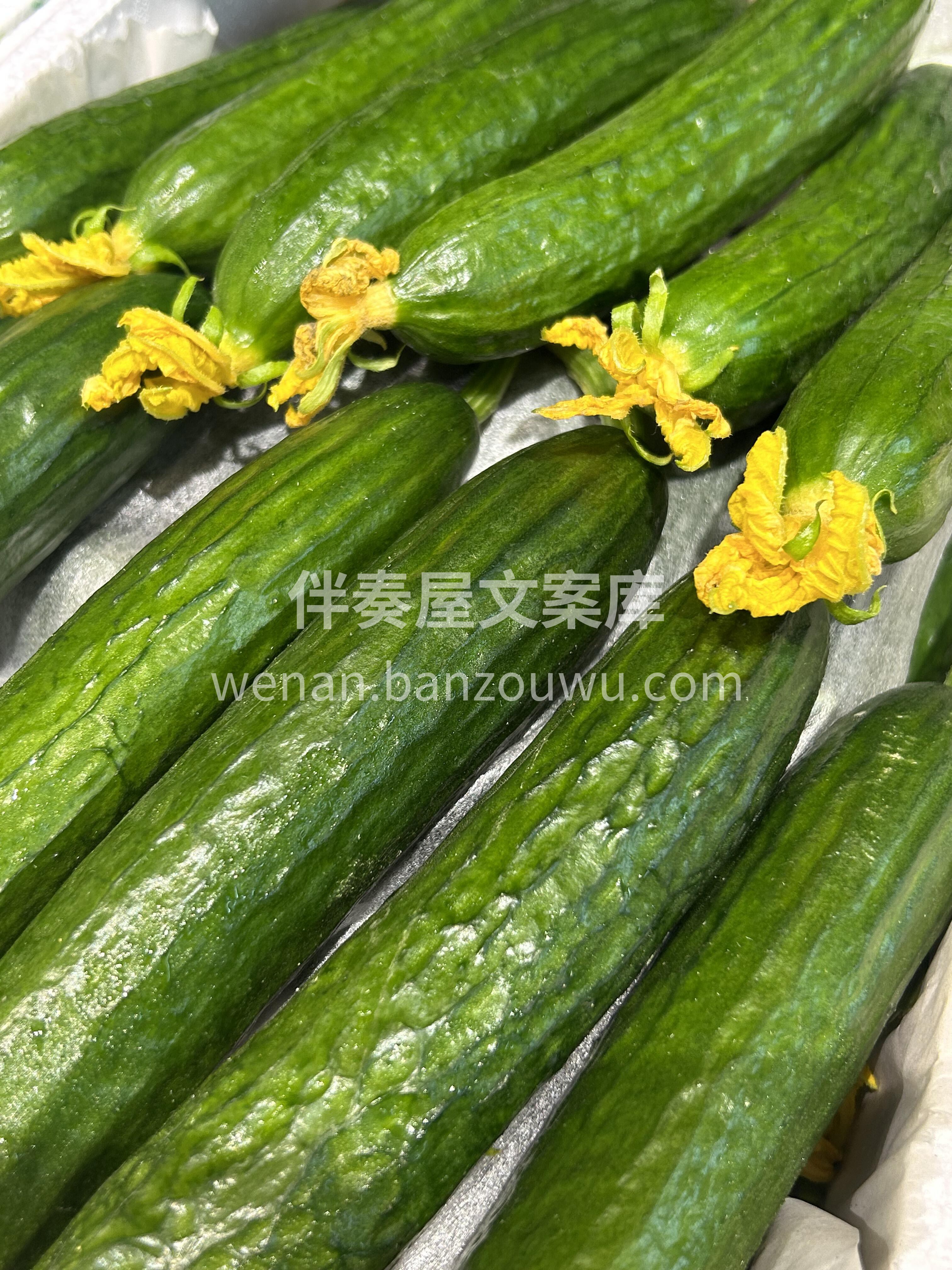💚即食水果黄瓜，新鲜嘎嘣脆😁 野炊必备小 配图2