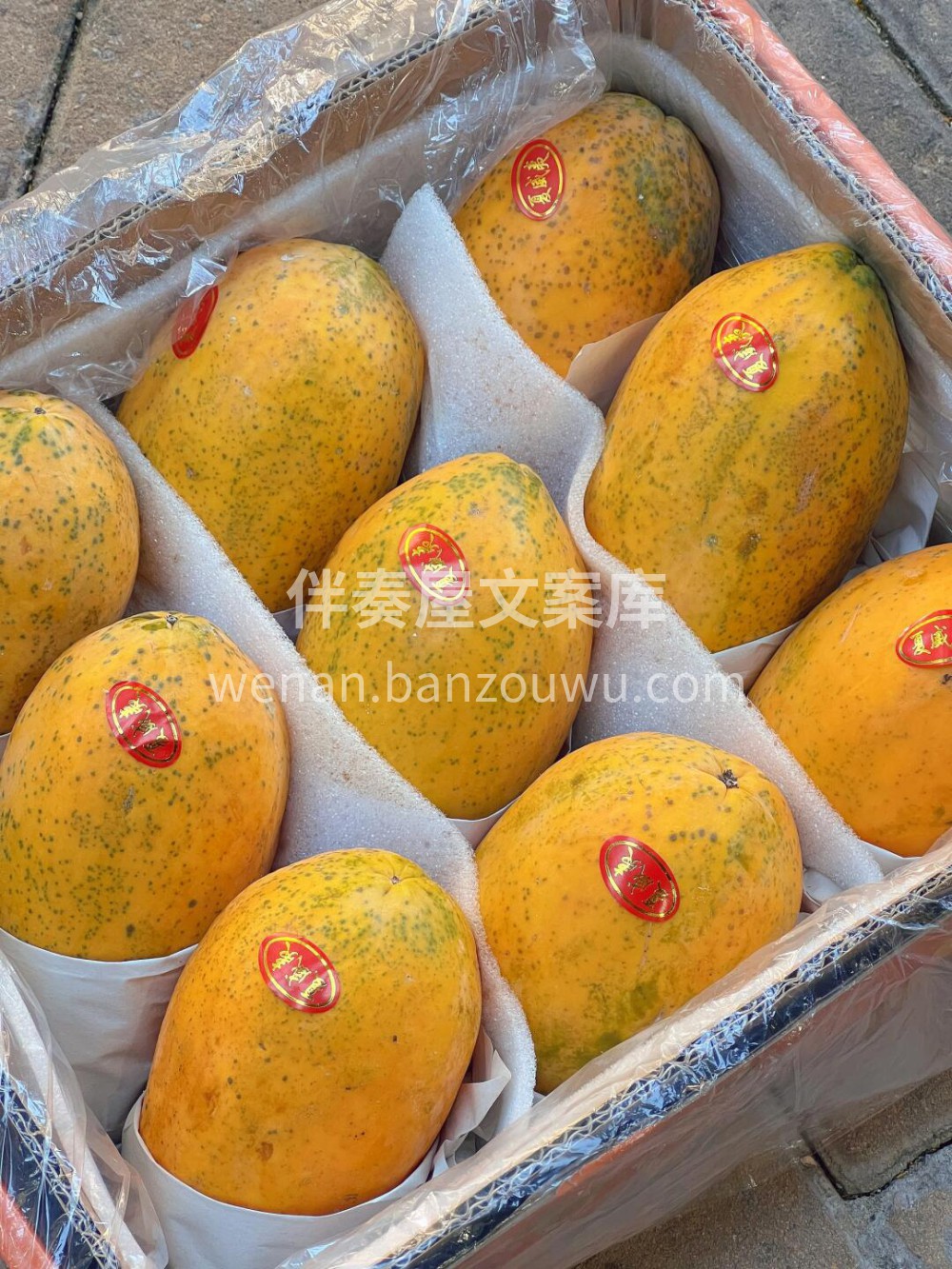 ✨像冰糖🧊一样甜的木瓜👍海南🌴树熟牛奶木 配图2