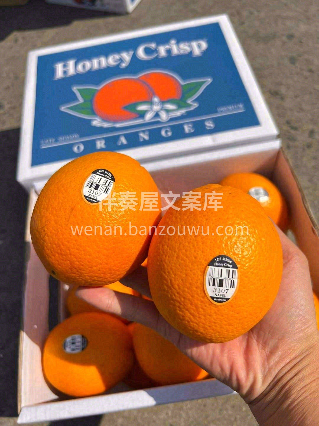 拥有太阳的专属颜色🌞 吃一口新奇士阳光脐 配图2