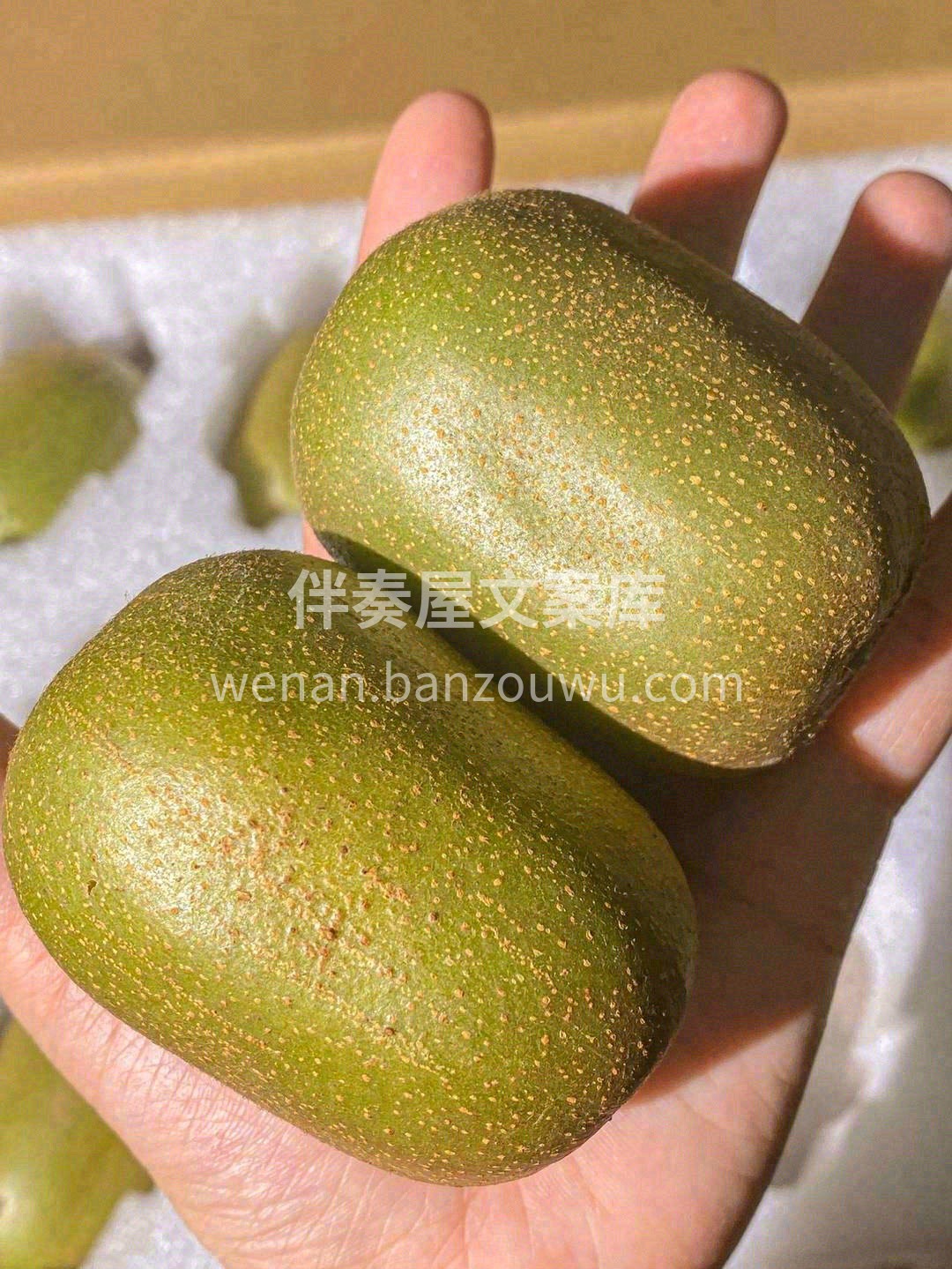 ☘️清甜可口，细嫩多汁💦 酸甜怡人，营养 配图3
