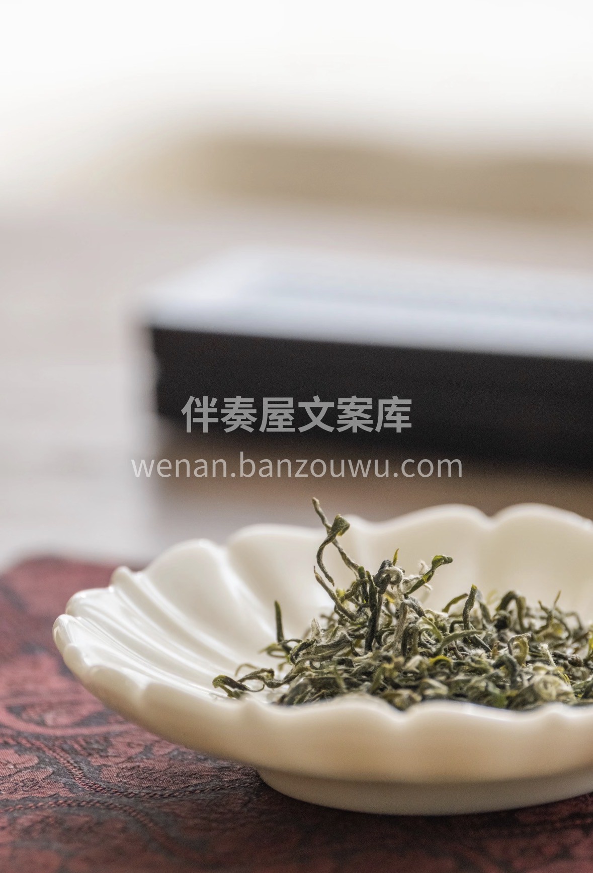 冬日❄️碧螺春🍵朋友圈文案 围炉冬坐，品 配图1