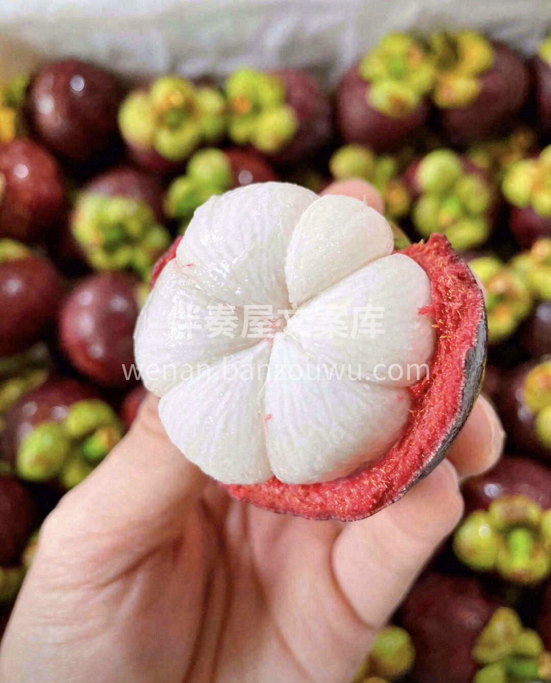绵绵情意，😍丝丝入味～ 生长出最柔弱的👍 配图2