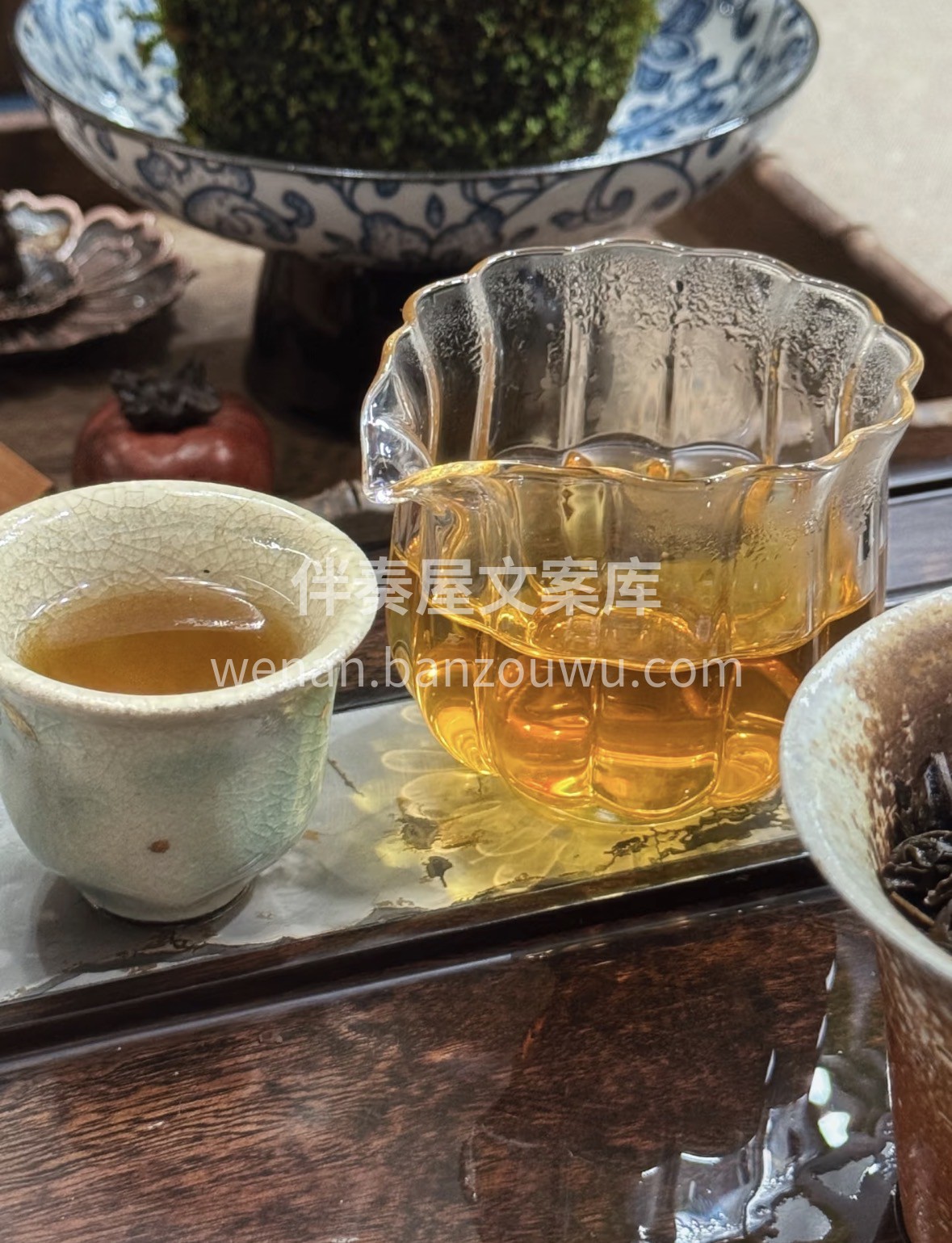 一盏海马宫茶，藏着黔地山韵。🎁 🍵金黄茶 配图2