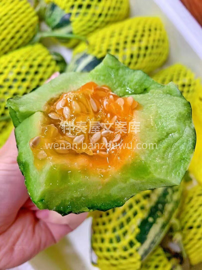 夏日☀️愿望清单中必备✅的一项，就是🎊找 配图2